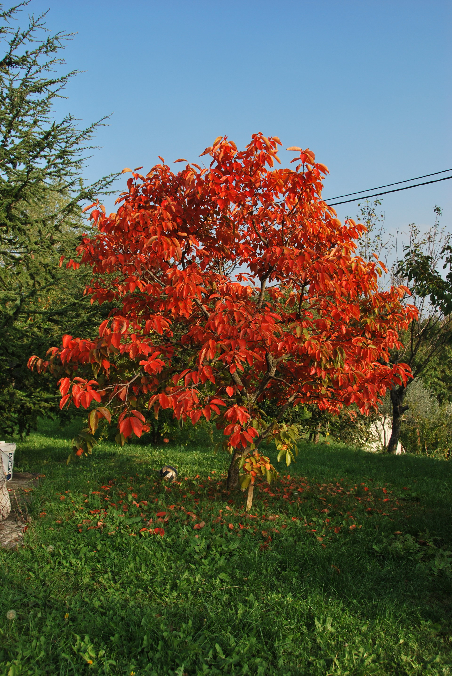 Apartmajska hiša Žerovnik