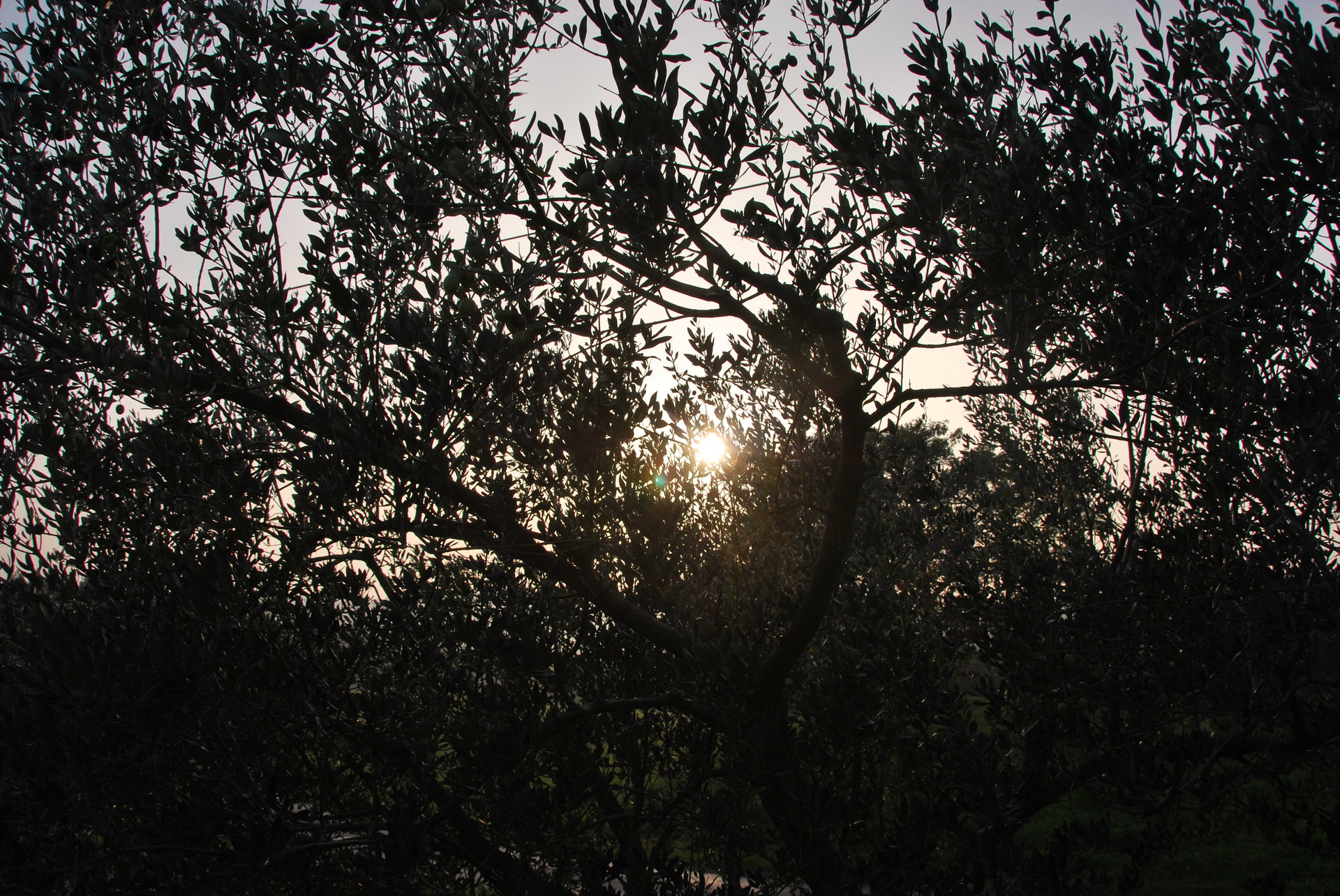 Apartmajska hiša Žerovnik