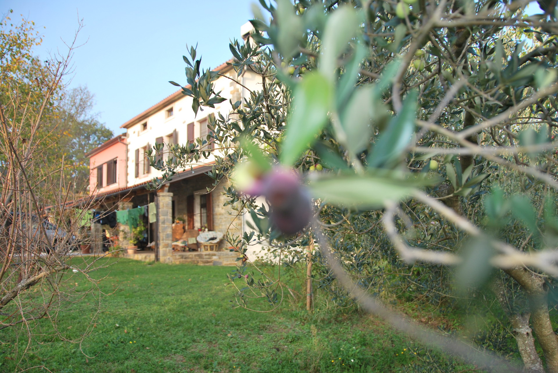 Apartmajska hiša Žerovnik